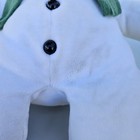 Vintage Eden The Snowman 13  Stuffed Plush Raymond Briggs Green Hat Scarf Read