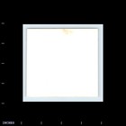 Square Color Photo Woman With Glasses In Living Room 1969