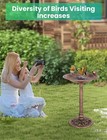 Pedestal Bird Bath 30 Inch Tall Bird Baths For Outdoors  Antique Golden Garde   