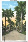 1956 Caribbean Islands Multifranchising Postcard Cover From Havana To Italy