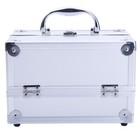 Sm-2176 Aluminum Makeup Train Case Jewelry Box Cosmetic Organizer 9 x6 x6 