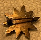 A Vintage 14k Yellow Gold Mourning Hair Brooch  Blonde Hair  Star Shape  4 Grams