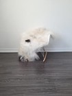Icelandic Sheepskin Rug Sheepskin Rug   Soft Silky Long Wool  c18