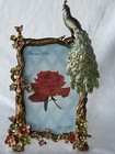 Ciel Collectables Peacock Picture Frame  Hand Set Swarovski Crystals
