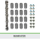 Spring Sealed Camshaft Kit For 1999-2013 Truck Btr31824100