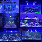 Popbloom Rl90 Wifi Marine  led Aquarium  light For 24 36 48 72 96  Saltwater Coral