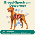 Dewormer For Large Dogs - Pet Dewormer Liquid     Tapeworm  Roundworms   Hookworms