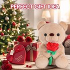 Teddy Bear Plush With Rose Valentine Gift For Girlfriend Boyfriend Kids 9 Inch