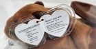 Authenticated Bucky Korean Ty Beanie Baby Beaver Brown Mwmt Mq