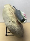 Vtg 1999 Gemmy Travis The Singing Rainbow Trout Electronic Fish Tested Working 