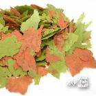 Yfs Cichlid Flakes Tropical Aquarium Bulk Fish Food 6oz  