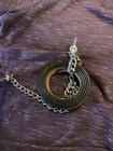 Dale Chavez Weanling Show Halter