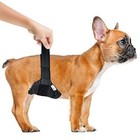Vet s Best Washable Male Dog Diapers   Absorbent Male Wraps With Leak Protection