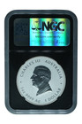 2025-p 1 Oz Silver Australia Lunar Snake Ngcx Ms-10 Gilt