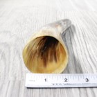 1 Small Polished Cow Horn  1154 Natural Colored