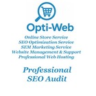 Keyword Audit     Find   Analyse All Your Keywords Ranking In Google Top 100