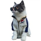 Pet Cat Dog Sunglasses Round Vintage Glasses Photo Props Eyewear
