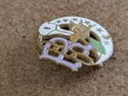 Vintage Daughters Of Rebekah Independent Order Of Odd Fellows Lapel Pin Enamel 