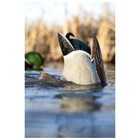 Avian-x Power Butt Kicker Drake Mallard Motion Duck Realistic Floating Decoy