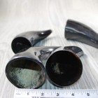4 Small Polished Cow Horns  514-2 Natural Colored