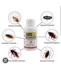 Cockroach