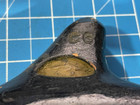 Vintage Ocarina Sweet Potato Flute Ceramic Clay  Guido Bondi Eagle Logo