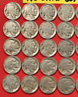 Estate Lot   No Date Buffalo Nickels Roll Of 40 Coins   Buffalo Nickels Lot