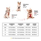 Soft Leather Dog Harness Leash Set Puppy Cat Vest For Small Medium Pets