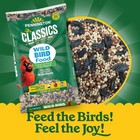 Pennington Classic Dry Wild Bird Feed And Wild Bird Seed  10 Lb  New Bag  1 Pack