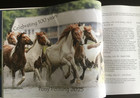 Chincoteague Guide Book Hundred Year Anniversary Pony Swim New