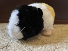 Guinea Pig Plush - Aurora - Black  White   Tan Pre Owned Euc