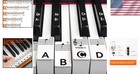 Kids  Piano Stickers For 88 76 61 54 49 Keys     Easy Installation And No Residue 