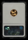1989-p  5 1 10 Oz Gold American Eagle Proof Coin - Ngc Pf 69 Ultra Cameo- G6511