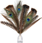 Large Pheasant Bird Craft Feathers 8-12inch 4 Styles 15pcs   Assorted Real Long