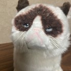 Gund Grumpy Cat Plush Standing Kitty Stuffed Animal Toy 9 In Exc Cond