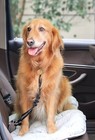 Dog Seat Belt Leash Pet Seatbelt Car Elastic Safety Adjustable Harness 2 Pack