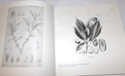 Vintage 1886-1986 History Of Coca Cola Book  Illustrated  Coke  Advertisements  