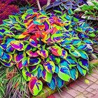 4 Pack Travel Luggage Suitcase Strap Adjustable Durable Belt With Name Card Tag