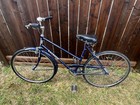 1984 Raleigh Sports Vintage Cruiser Bike X-large 21 5  3 Speed Steel Frm Canada