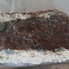 Raw 3 Lbs 4 Oz Wyoming Fossil Turritella Cutting Rough Fossil Packed 