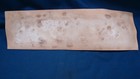 Sportsmen s Headquarters The Winchester Store Sign Original Paper Sign