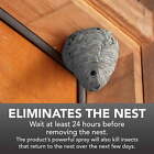 Eliminator Wasp And Hornet Killer Aerosol  17 Ounces  3 Pack Professional Grade