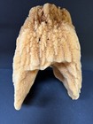 Large Bowl Shape Natural Sea Sponge Ocean Life Florida 11  Tall X 8  Wide X 8 