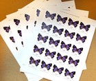 5 Sheets Purple Colorado Hairstreak - Non-machinable Usps Stamps - 100 Total