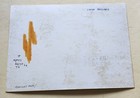 Rare Vintage Original Photo Sexy Legs Susan Hayward By A  L  Whitey Schafer