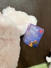 Russ Shining Stars Pink Bear Plush New W  Sealed Star Registry Code Tags