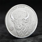 1 Oz  9999 Pure Silver Buffalo Girl Silver Round