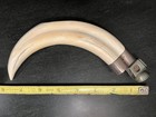 Boars Tusk Cigar Cutter - European Origin