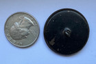 Antique Tinted Brass   Wood Picture Button  lion W shield  1-1 4  e24