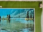 Vintage Travel Agency Poster Sportfishing Southeast Alaska Fishing Tourism Rare 
